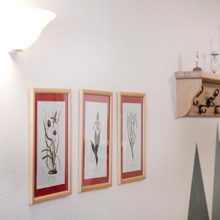 Residence Larice Bianco App N3 캄포돌치노 외부 사진